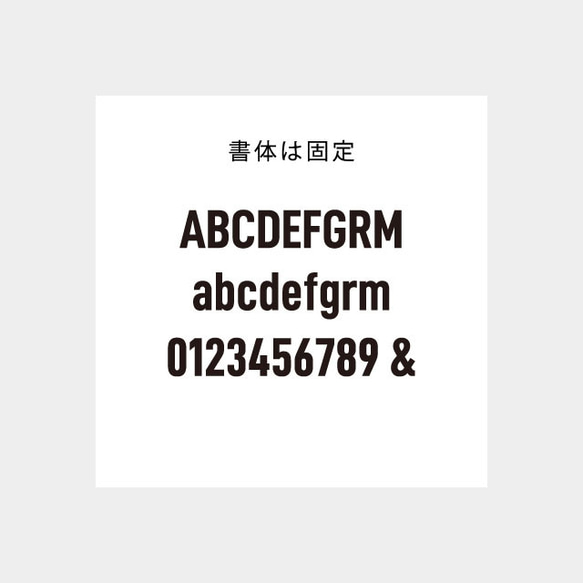 厚紙 ３００枚 名入れ アクセサリー 台紙 QRコード入れ 名刺 サイズ 文字固定  ヨコ型 5枚目の画像