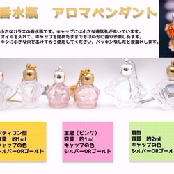 ミニ香水瓶　アロマペンダントトップ　エンブレム形（透明　容量1.2mL）×穴あきキャップ　シルバー 3枚目の画像