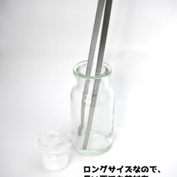 ハーバリウム用 ロングピンセット 27cm(ストレート) ステンレス製【テラリウム、アクアリウム、ボトルシップにも】 5枚目の画像