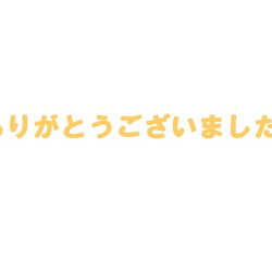 moda・USAコットン限定生地使用・マチ付バッグ(大) 1枚目の画像