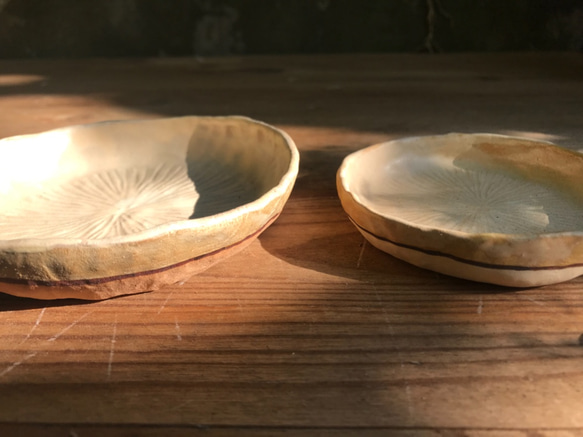 chuhsienearth13 the plates “ ＊ ” handmade chrysanthemum 3枚目の画像