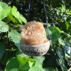 「砌」竹土石山 石山系列 花器 懸吊花盆 吊飾 掛飾 菜瓜布架 窗邊裝飾 萬年青 百萬心 水晶 編織的把手 第6張的照片