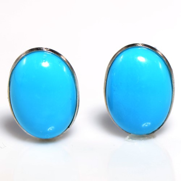 何でも揃う スリーピングビューティーターコイズpt900ピアス4 アクセサリー