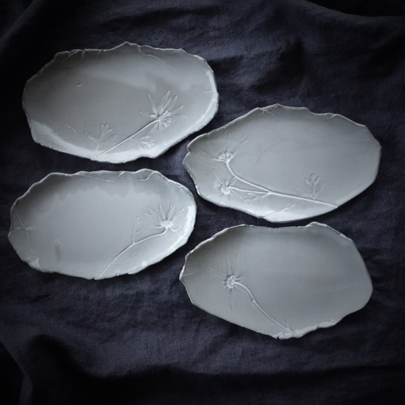 「ボタニカルプレートＭ・フランネルフラワー」デザート皿 フルーツ皿 アクセサリートレー 陶器  洋食器 ギフト陶磁器 1枚目の画像