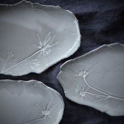 「ボタニカルプレートＭ・フランネルフラワー」デザート皿 フルーツ皿 アクセサリートレー 陶器  洋食器 ギフト陶磁器 2枚目の画像