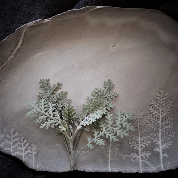 生植物プレートL・シルバーレース　森の夜空　デザート皿 フルーツ皿 アクセサリートレー 陶器  洋食器 ギフト陶磁器 5枚目の画像
