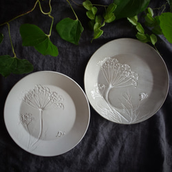 「ラウンドＭ・ディル（２色）」中皿 デザート皿 フルーツ皿 ボタニカル 植物 陶器 陶磁器　ギフト　洋食器 1枚目の画像