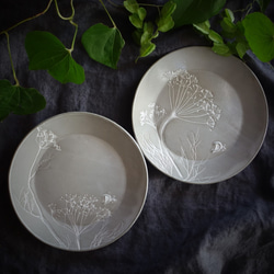 「ラウンドＭ・ディル（２色）」中皿 デザート皿 フルーツ皿 ボタニカル 植物 陶器 陶磁器　ギフト　洋食器 2枚目の画像