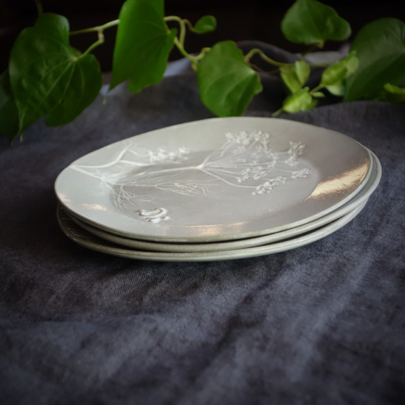 「ラウンドＭ・ディル（２色）」中皿 デザート皿 フルーツ皿 ボタニカル 植物 陶器 陶磁器　ギフト　洋食器 4枚目の画像