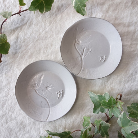 「フランネルフラワー・ラウンドＳ（２色）」豆皿 小皿　プチプレート ボタニカル 植物 陶器 陶磁器　ギフト　洋食器 2枚目の画像