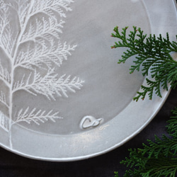 「ラウンド23・コニファー」大皿 デザート皿 ワンプレート 植物 陶器 陶磁器　ギフト　洋食器 2枚目の画像