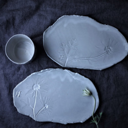 生植物プレートL・フランネルフラワー　デザート皿 フルーツ皿 アクセサリートレー 陶器  洋食器 ギフト陶磁器 1枚目の画像