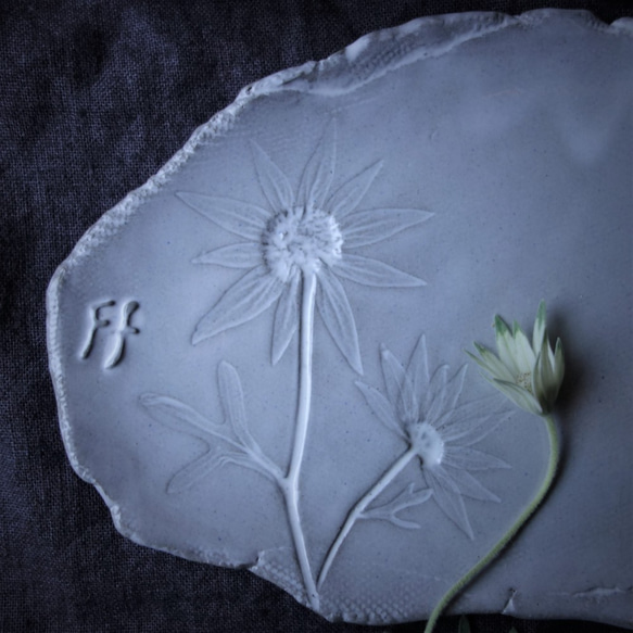 生植物プレートL・フランネルフラワー　デザート皿 フルーツ皿 アクセサリートレー 陶器  洋食器 ギフト陶磁器 2枚目の画像