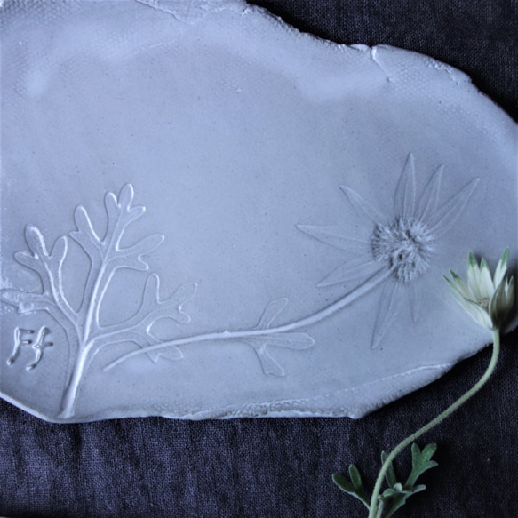 生植物プレートL・フランネルフラワー　デザート皿 フルーツ皿 アクセサリートレー 陶器  洋食器 ギフト陶磁器 3枚目の画像