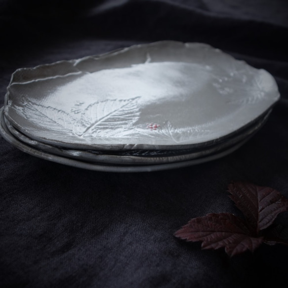 生植物プレートL・フランネルフラワー　デザート皿 フルーツ皿 アクセサリートレー 陶器  洋食器 ギフト陶磁器 6枚目の画像