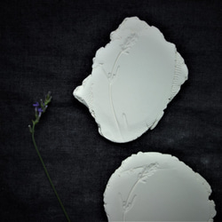 生植物アロマプレート　アロマストーン　アロマデッシュ アロマウッド　陶磁器 4枚目の画像