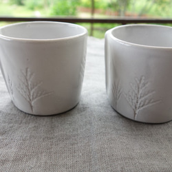 コーヒーカップ　デミカップ ティーカップ ボタニカル 植物モチーフ「コニファー」 フランス 陶器 陶磁器 3枚目の画像