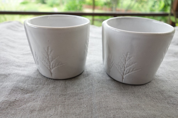 コーヒーカップ　デミカップ ティーカップ ボタニカル 植物モチーフ「コニファー」 フランス 陶器 陶磁器 3枚目の画像