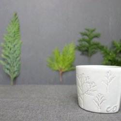 コーヒーカップ　デミカップ ティーカップ ボタニカル 植物モチーフ「コニファー」 フランス 陶器 陶磁器 1枚目の画像