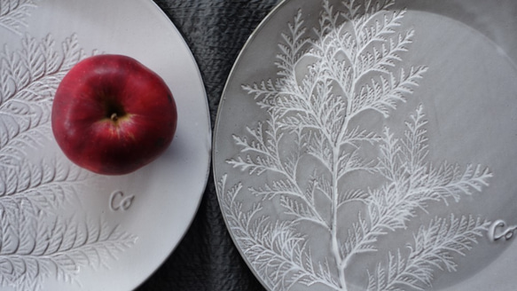「ラウンドＬ・コニファー」大皿 デザート皿 ボタニカルシリーズ 植物 陶器 陶磁器　ギフト　洋食器 4枚目の画像