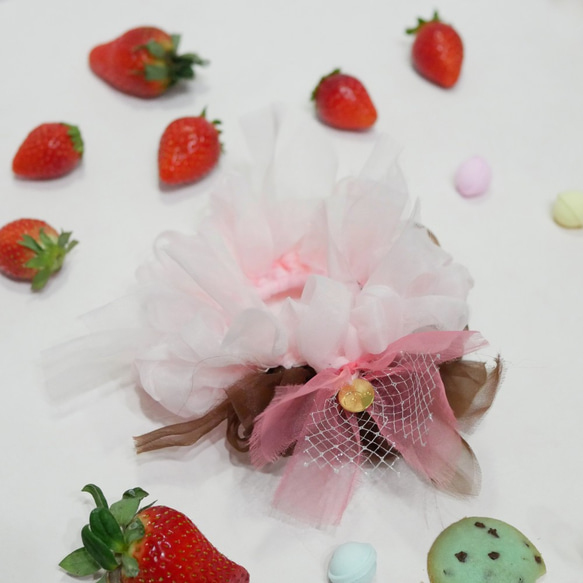 草莓巧克力| 第2張的照片