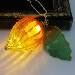 Chinese lantern　Hairpin 第4張的照片