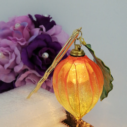 Chinese lantern　Hairpin 第7張的照片