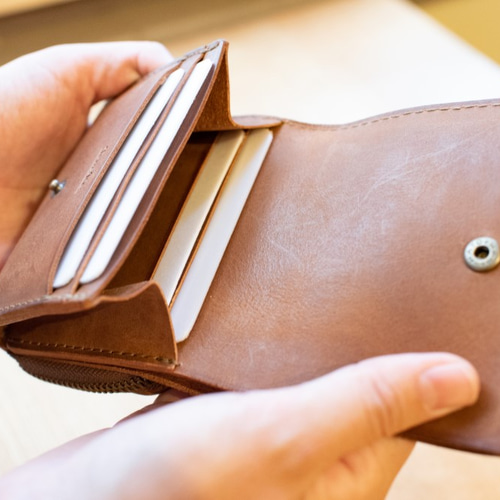 カード類が沢山入る&外側に付いたL字ファスナー型の小銭入れが使い