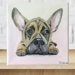 Amazon | 数字によるDiy絵画キットカラー動物犬アクリル絵の具