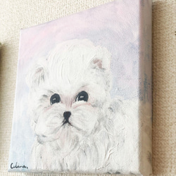 DOG-E// 犬 絵画 キャンバス アクリル アートパネル ビション 子犬 プードル 動物 わんこ 壁掛け 8枚目の画像