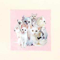 &lt;Cats_collage&gt;白貓/粉紅色清潔眼鏡的拼貼畫 第1張的照片