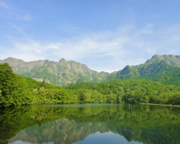 [九頭龍手鍊◆戶隱山神水淨化◆]天然石手鍊龍神龍事物的變化改變運氣的流動 第9張的照片