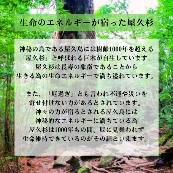 【屋久杉がもたらす強力な厄払い】屋久杉　アメジスト　天然石ブレスレット　災い除け　悪運除け　健康　長寿 2枚目の画像