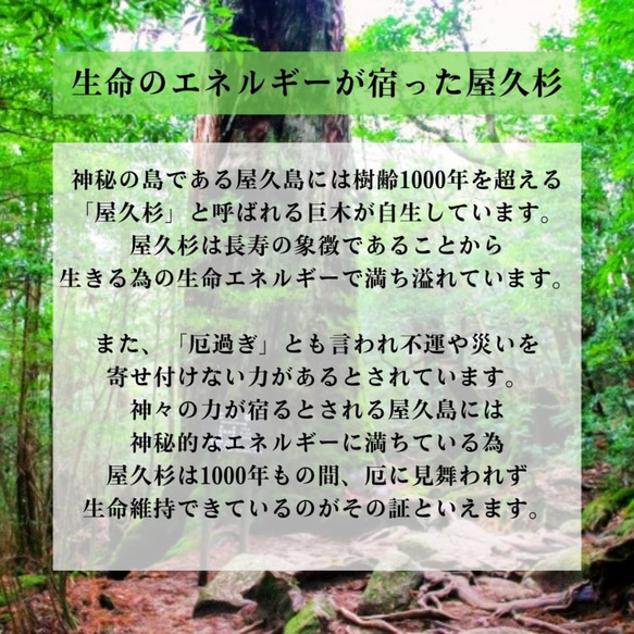 【屋久杉ブレスレット】厄災除け　守護　お守り　屋久杉　天然石ブレスレット　天然木　 2枚目の画像