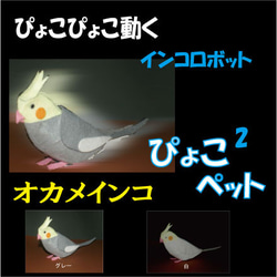 ぴょこぴょこ動くインコロボット　ぴょこぴょこペット　オカメインコ　組み立てキット 1枚目の画像