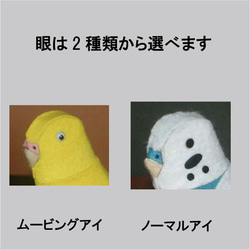 ぴょこぴょこ動くインコロボット　ぴょこぴょこペット　セキセイインコ　組み立てキット 2枚目の画像