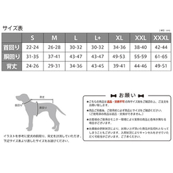  第7張的照片