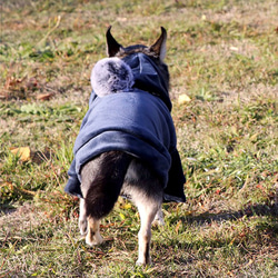 犬服 ベロア ポンポン付 可愛い 上着 冬服 おしゃれ パーカー 5枚目の画像