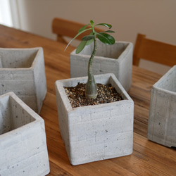 セメント植木鉢　-RUGGED CEMENT POT- ゴツゴツキューブプランター 1枚目の画像