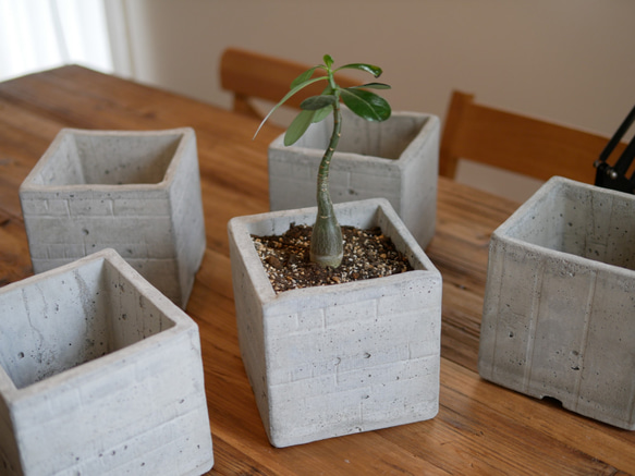 セメント植木鉢　-RUGGED CEMENT POT- ゴツゴツキューブプランター 1枚目の画像