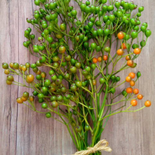 野ばらの実 グリーン ドライフラワー Tammy工房 通販 10356394｜Creema