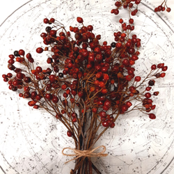 2021年】再販☆野ばらの実 ドライ ドライフラワー Tammy工房 通販