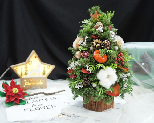 0_fb986d8f305fa1c28d43bdacd2e9