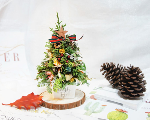 フレッシュシダークリスマスツリークリスマスリミテッド】クリスマス