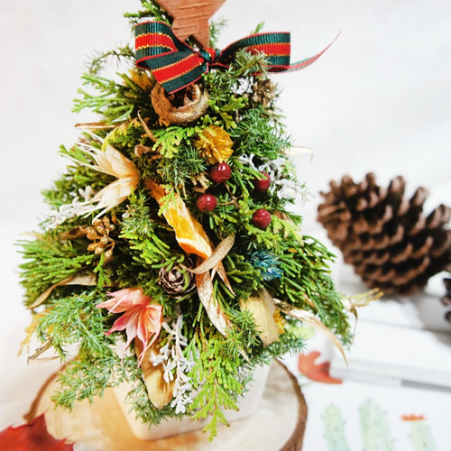 クリスマスツリー　ドライフラワー 楽天市場】クリスマス スワッグ ツリー セット プリザーブド ドライ