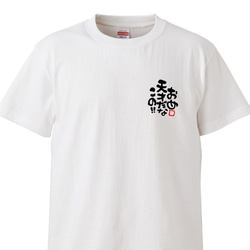 茨城弁　筆文字ロゴTシャツ（小プリントタイプ）　ユニセックスタイプ　Tシャツ　綿100％　 5枚目の画像