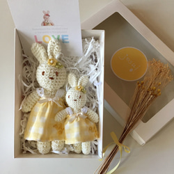 手編兔子玩偶/彌月禮盒/可訂製名字 第1張的照片