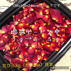 ミニミニ薔薇（茎長め）ドライフラワー☆15輪セット+おまけ1輪付き
