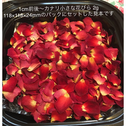 小さなミニ薔薇の花びら2g（小さめ）ドライフラワー★花弁ミニローズ★押し花素材にも★ミニバラ 2枚目の画像