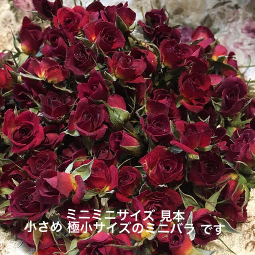 ミニミニ薔薇！ミニバラ ドライフラワー☆20輪セット+おまけ2輪付き 